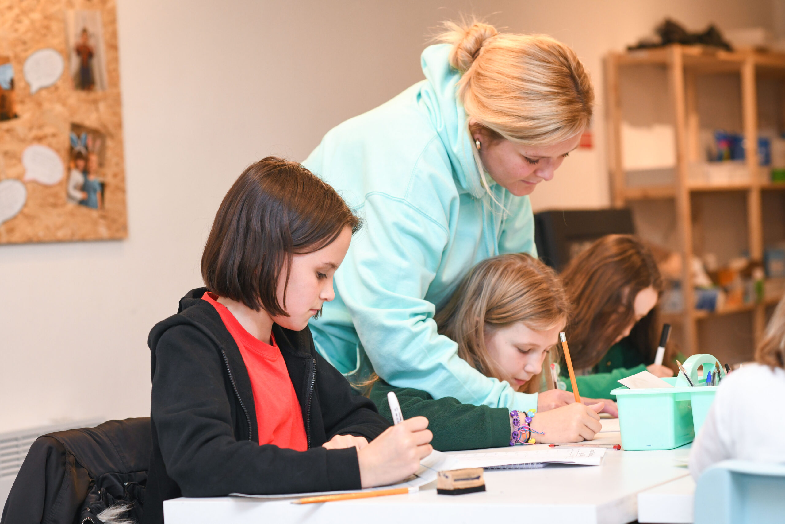 Home Little Owl Tuition